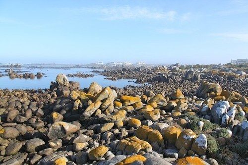 Klokkiebosch Guesthouse Jacobs Bay Bagian luar foto